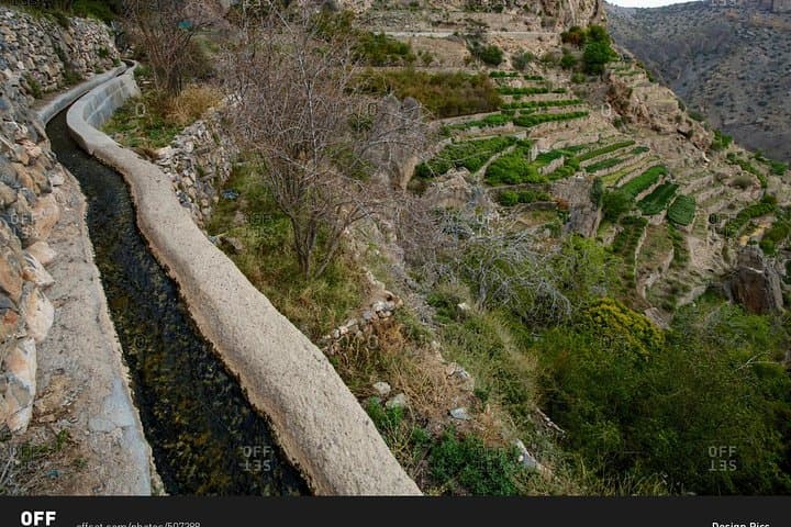Jebel Akhdar & Nizwa: Green Mountains Day Trip from Muscat