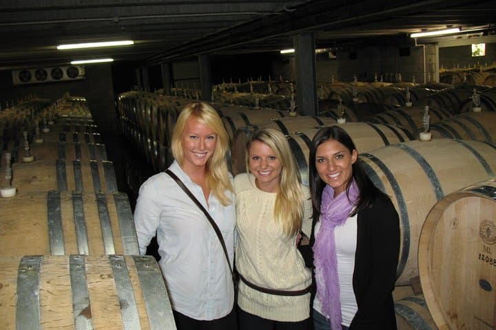 Wine, Honey & Black-Sand Beaches: Kumeu Wineries and Muriwai Day Tour from Auckland