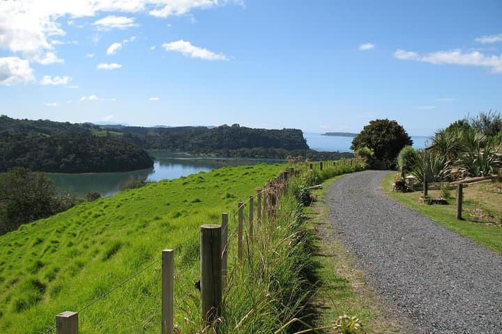 Matakana Coastal Wine & Native Forest Day Trip from Auckland