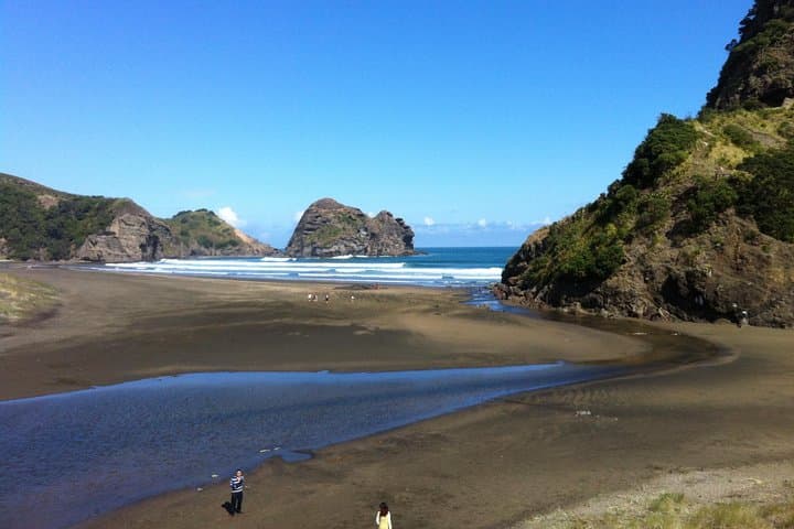 Piha Waitakere Rainforest and West Coast Wine Tour from Auckland
