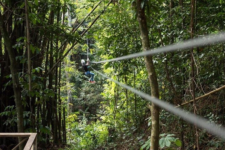 Treetop Canopy Adventure St Lucia: 11-Line Rainforest Zipline Tour photo 1