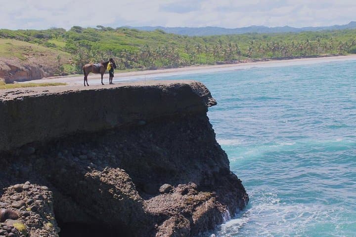 Coastal Horseback Ride in St. Lucia — Swim with Horses on Gros Islet Beaches photo 2