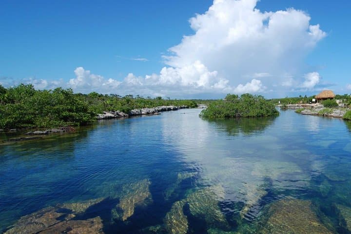 ATV, Zipline & Cenote Snorkel Adventure — Riviera Maya Day Trip photo 2