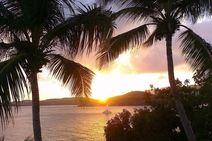 Harbor Lights Dinner Sail in St. Thomas: Sunset Catamaran Cruise from Marriott's Frenchman's Cove photo 2