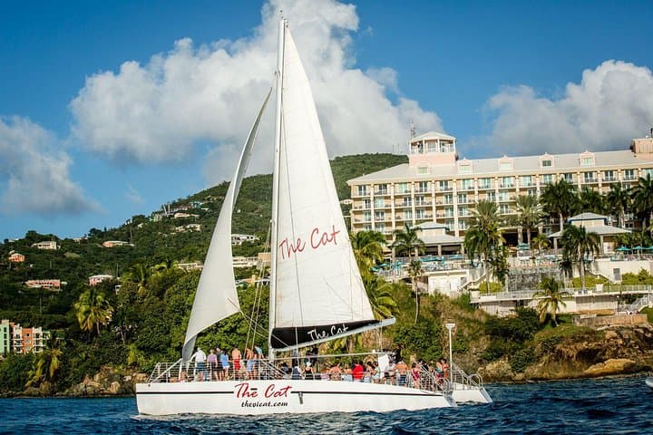 Harbor Lights Dinner Sail in St. Thomas: Sunset Catamaran Cruise from Marriott's Frenchman's Cove photo 3