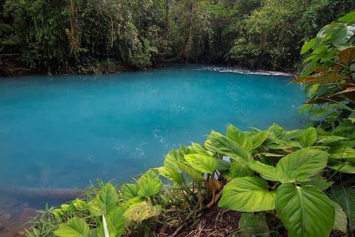 Rio Celeste Hike: Tenorio Volcano National Park Day Trek from La Fortuna photo 2