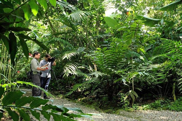 La Fortuna Nature Walk: Ecological Park & Danaus Butterfly Garden Guide photo 1