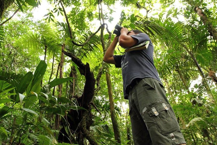 Birdwatching at Mundo Aventura: Arenal's Premier Avian Walk photo 1