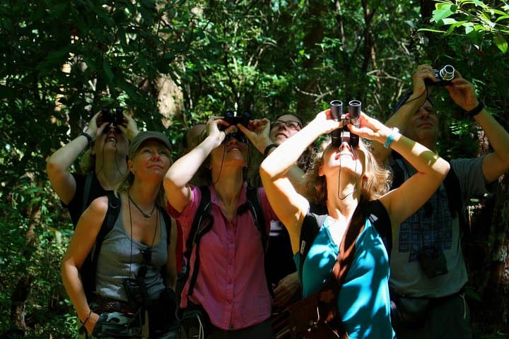 Birdwatching at Mundo Aventura: Arenal's Premier Avian Walk photo 2