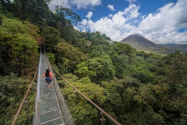 Arenal Hanging Bridges: Canopy Hike Through Costa Rica’s Rainforest