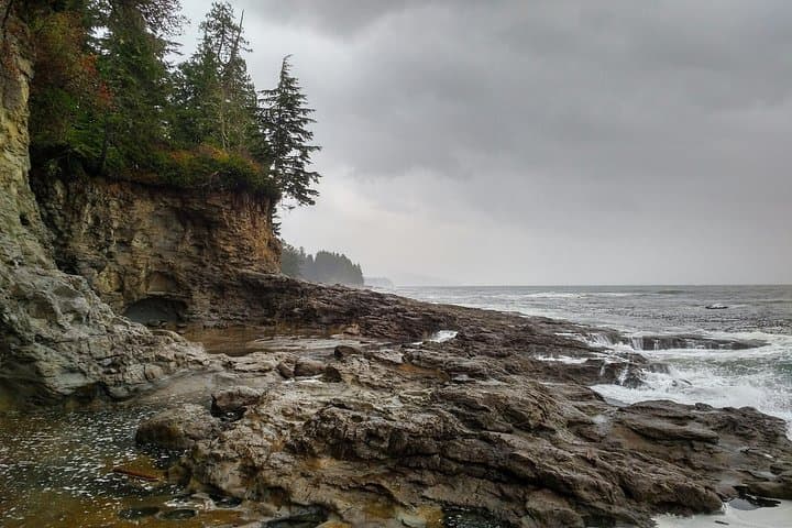Sooke to Port Renfrew Wild Pacific Adventure — Beaches, Old-Growth & Tidal Pools photo 2
