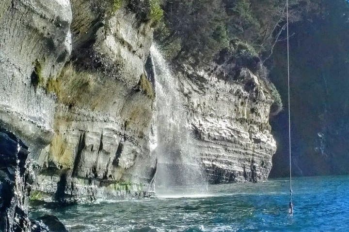 Sooke to Port Renfrew Wild Pacific Adventure — Beaches, Old-Growth & Tidal Pools photo 3
