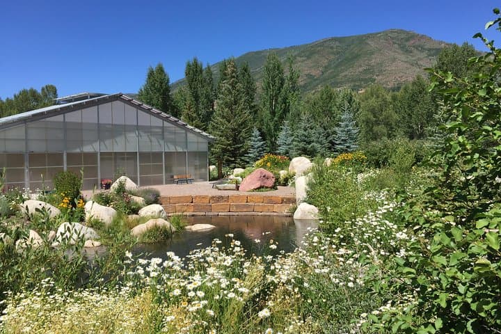Explore Aspen’s Hidden Charm: Off the Beaten Path Walking Tour