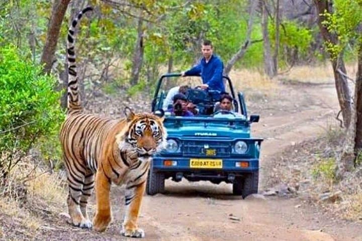 Golden Triangle & Ranthambore Tiger Safari: 7-Day Delhi, Agra & Jaipur Circuit photo 1