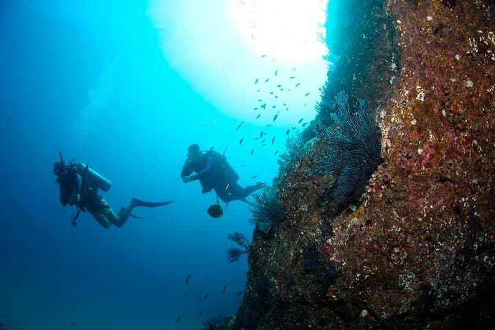 Beginner Scuba Diving in Cabo San Lucas — PADI Shallow Dives in the Marine Park photo 3