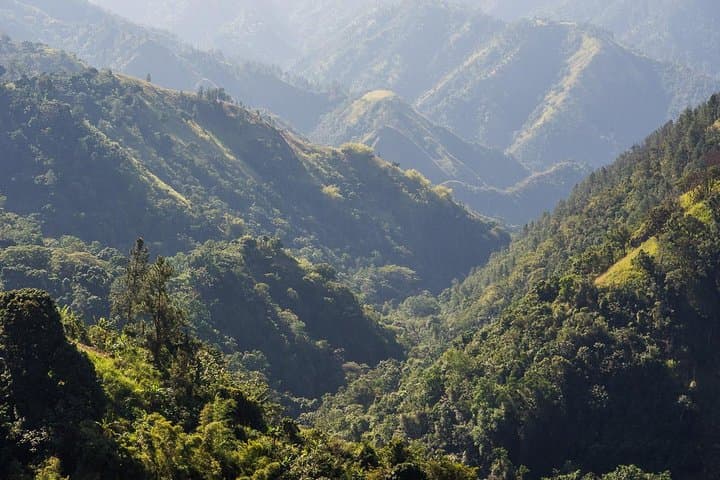 Blue Mountain Guided Nature Tour from Kingston — Waterfalls, Barracks & Cloud Forest Views