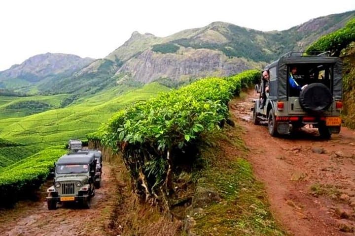 Kolukkumalai Jeep Safari: Highest Tea Estate & Orthodox Tea Factory Day Tour from Munnar