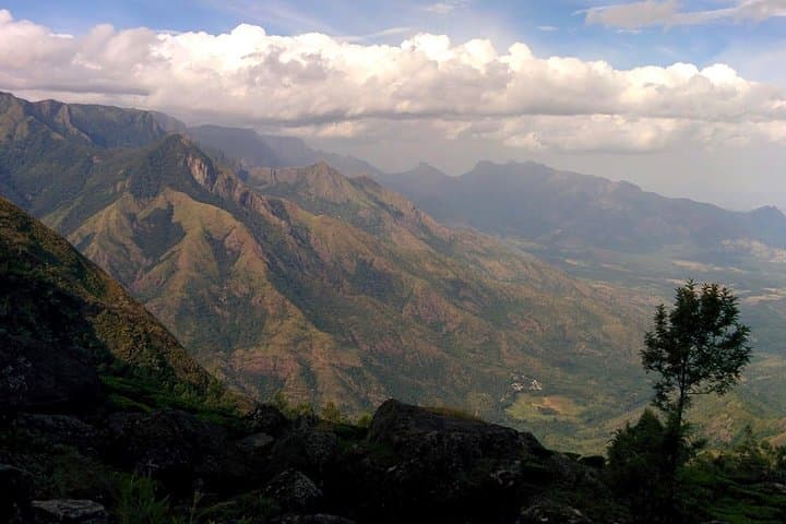 Meesapulimalai Trek: Summit Munnar's Second-Highest Peak