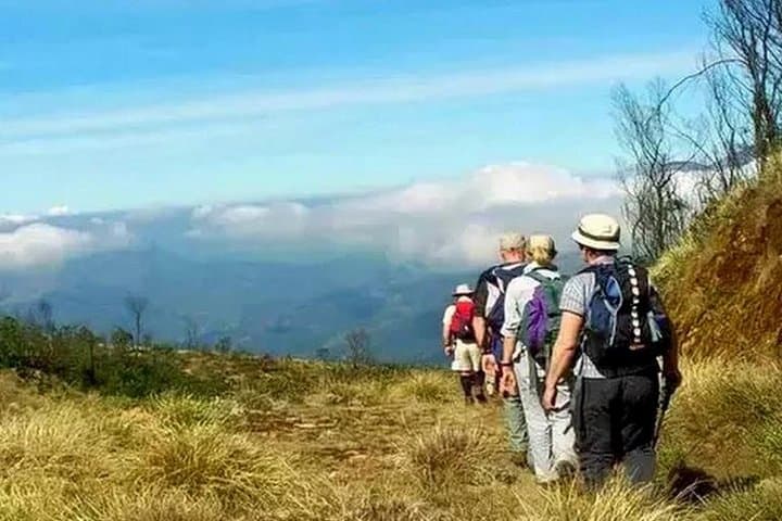 Meesapulimalai Trek: Summit Munnar's Second-Highest Peak photo 2