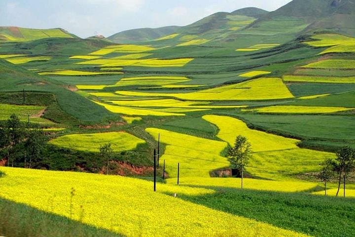 Longji (Dragon’s Backbone) Rice Terraces Day Tour from Guilin: Steps, Views & Zhuang Culture photo 3