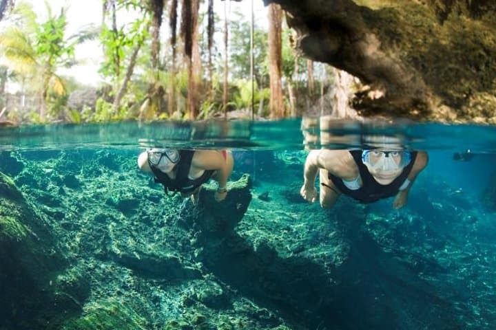 Underwater Maya Snorkeling Tour: Cenote Caverns & Turtle Snorkel from Playa del Carmen photo 2