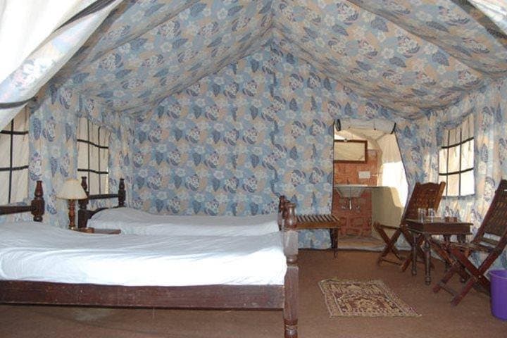 Overnight Camel Safari and Desert Camping in Osian from Jodhpur photo 3