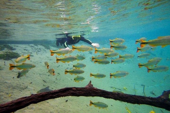 Snorkel the Crystal Rivers at Recanto Ecológico Rio da Prata photo 4
