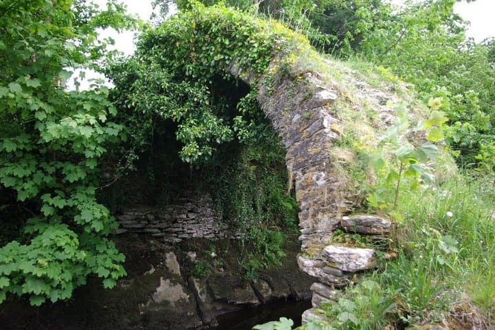 Private Ring of Kerry Tour to Kerry Cliffs from Kenmare photo 2