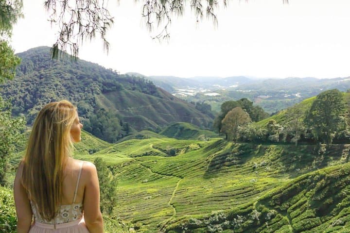 Cameron Highlands Full-Day Tour from Kuala Lumpur — Tea Plantations, Waterfalls & Batu Caves
