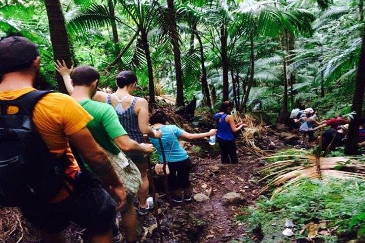 Hike Mount Liamuiga Volcano: St Kitts Day Trek to 3,792 ft Cloud Forest