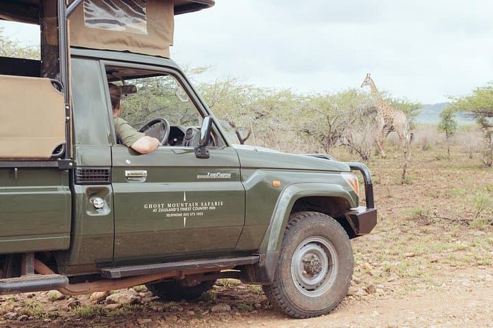 uMkhuze Half-Day Game Drive: Big 5 Safari & World-Class Birding in KwaZulu‑Natal