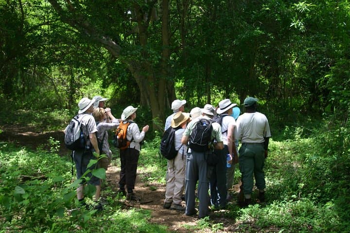 uMkhuze Fig Forest Walk: Guided Sand-Forest Stroll in uMkhuze Game Reserve photo 3