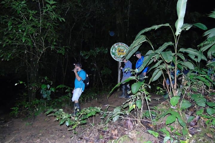 Drake Bay Night Hike: Nativos Corcovado Nocturnal Wildlife Walk photo 1