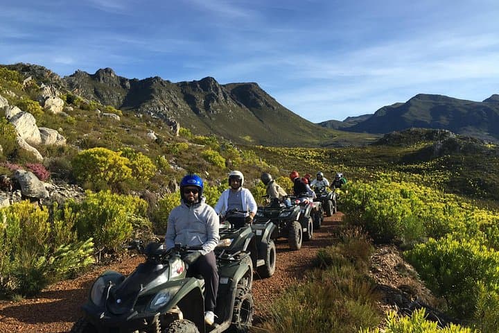 Cape Adventure Day: Full-Day Ziplines, Sandboarding, ATV & Penguin Encounter from Cape Town photo 2
