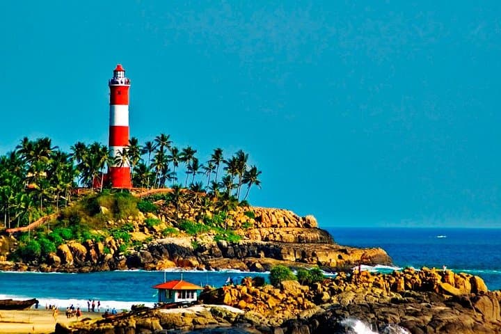 8-Day Kerala Tour: Backwaters, Tea Trails & Wildlife with Private Transfers photo 3
