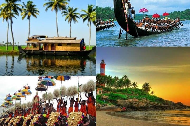 8-Day Kerala Tour: Backwaters, Tea Trails & Wildlife with Private Transfers photo 2