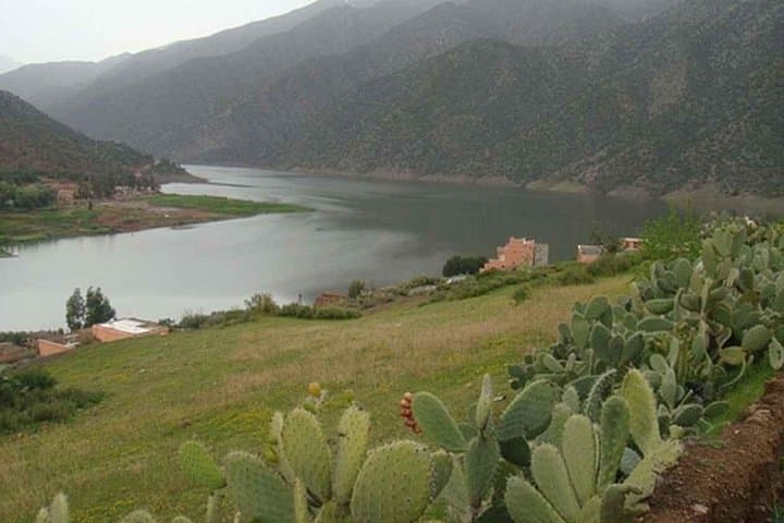 Quad and Buggy Adventure at Lalla Takerkoust Lake — Day Trip from Marrakech photo 4