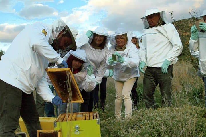 Become a Beekeeper for a Day near Nafplio: Hands-On Hive Experience & Honey Tasting photo 2
