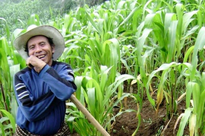 Upper Mayan Trail to Lake Atitlán — Strenuous Hike, Mayan Markets & Cloud Forest photo 2