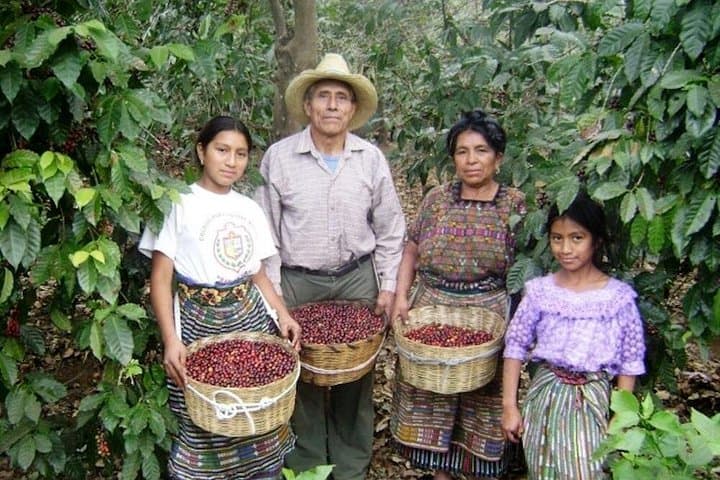 Sololá Market, Panajachel Cloud Forest & Mayan Villages — Full-Day Trip from Antigua photo 2