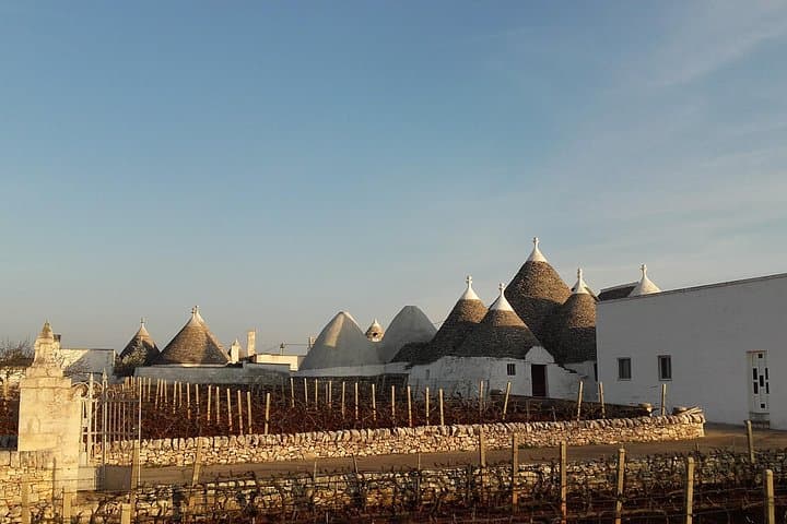 Full-Day Valle d'Itria & Ostuni Tour from Bari — Puglia Countryside and Coast photo 3