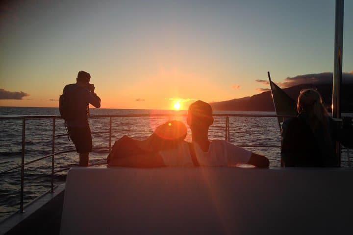 Funchal Catamaran Sunset Cruise: Dolphins, Swimming & Desertas Views