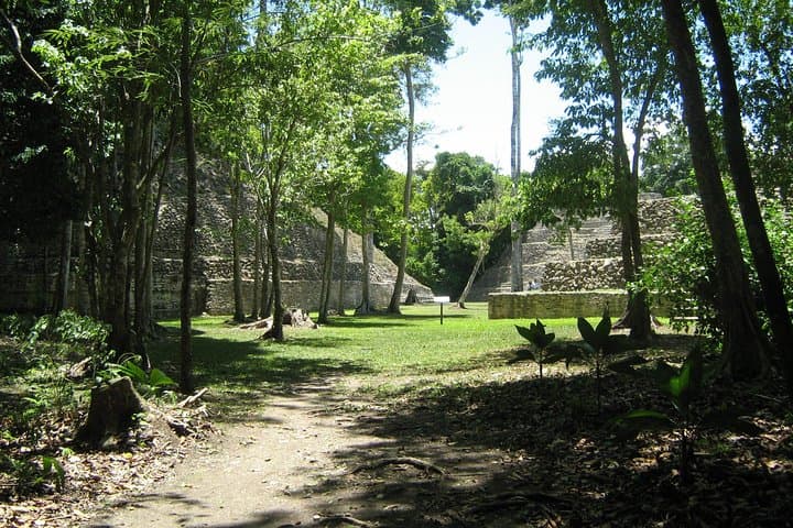 Full-Day Caracol Maya Temple and Pine Ridge Forest Reserve Adventure