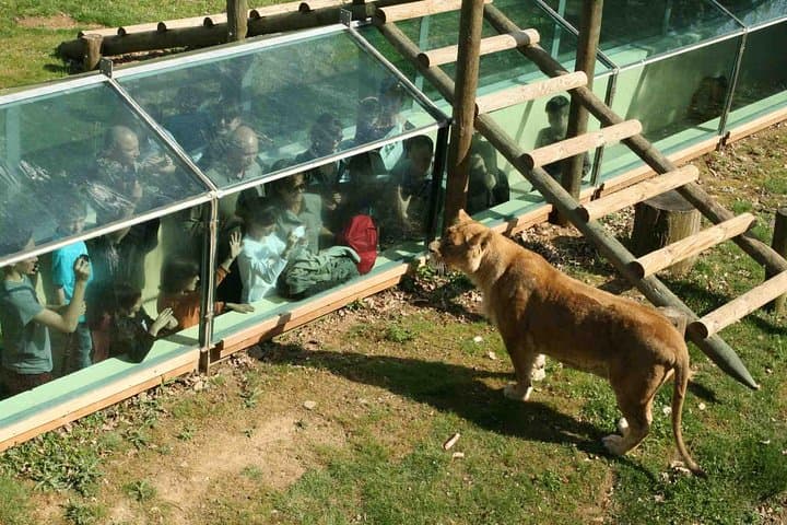 Private Day Trip to Thoiry Safari Park: Return Transfer from Paris photo 2