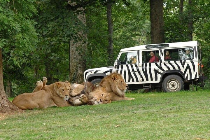 Private Day Trip to Thoiry Safari Park: Return Transfer from Paris
