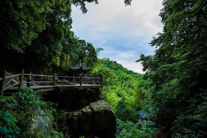 Plog and Hike Mount Mogan: Guided Eco-Hike from Hangzhou