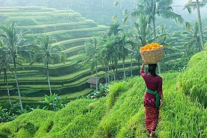 Private Day Ubud Art and Culture Tour — Ubud Markets, Rice Terraces & Waterfalls