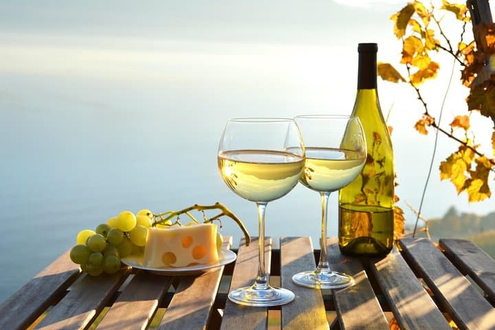Hamptons & North Fork Wineries Private Day Tour from NYC
