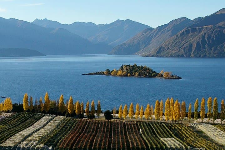 Central Otago Wine Tour from Wanaka — Tastings, Vineyard Visits & Gourmet Lunch