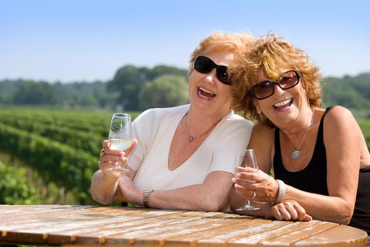 Classic Wanaka Wine Tour: Central Otago Boutique Vineyard Day Trip